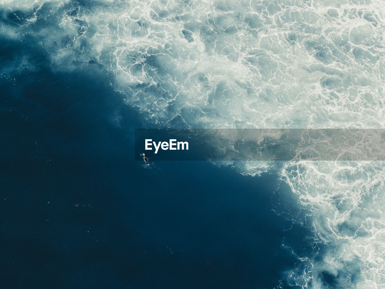 Aerial view of a surfer paddling in the ocean