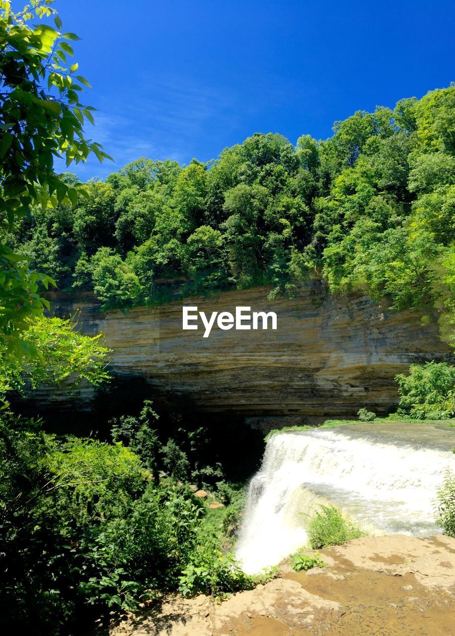 Scenic view of waterfall in forest