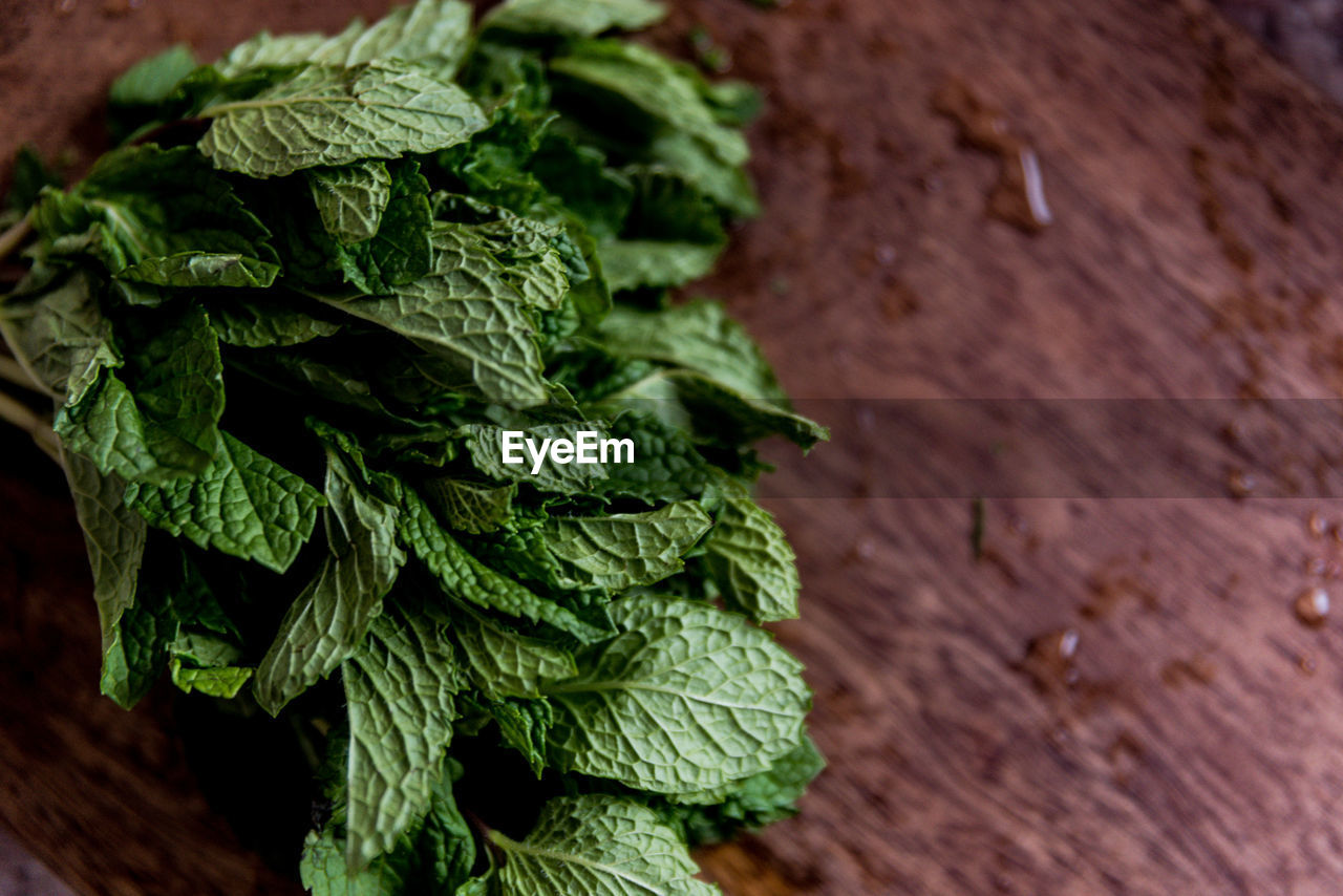 High angle view of leaves on table