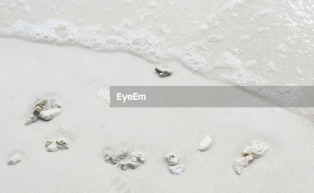 HIGH ANGLE VIEW OF FOOTPRINT ON BEACH