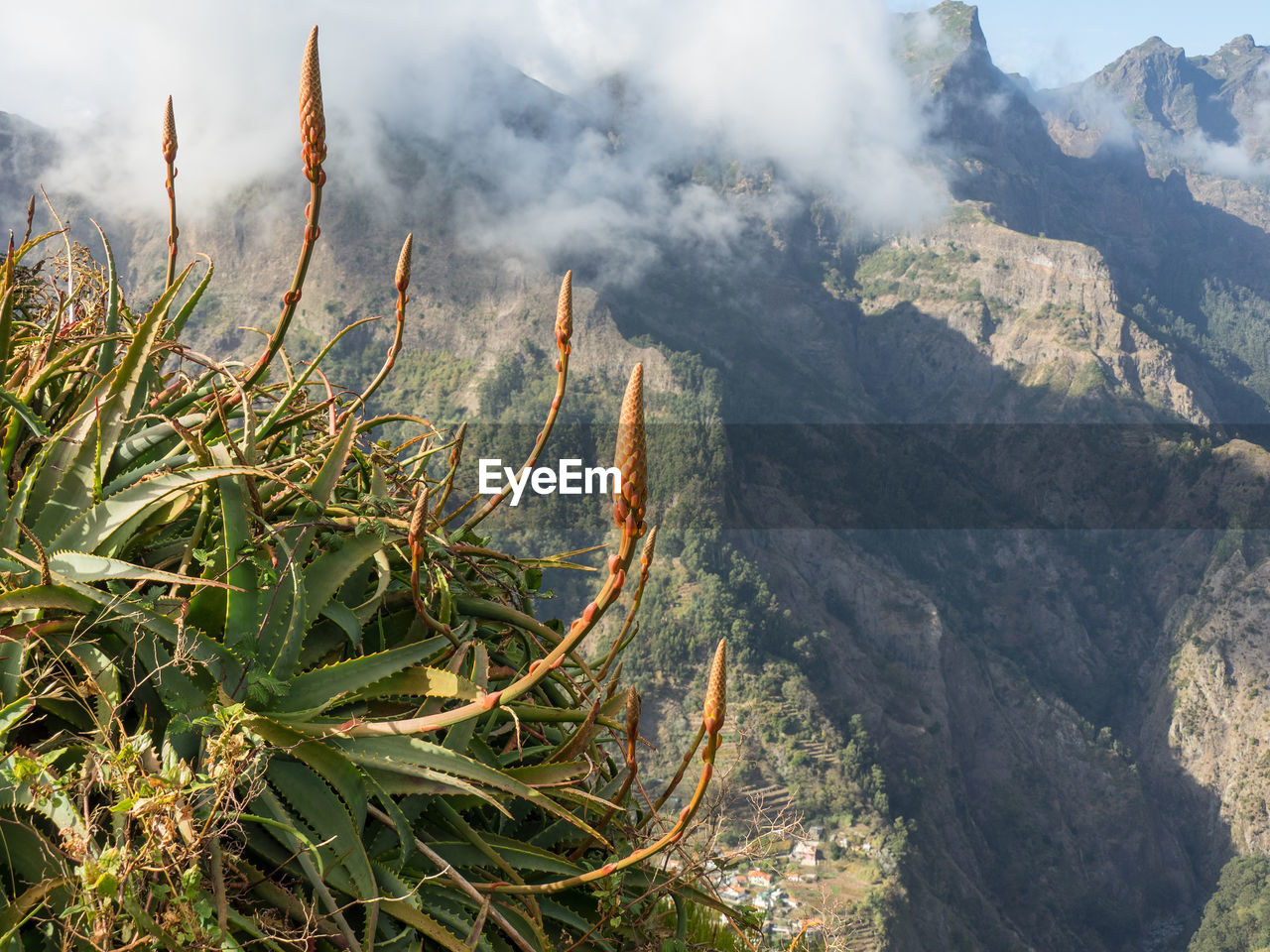 In the mountains of madeira