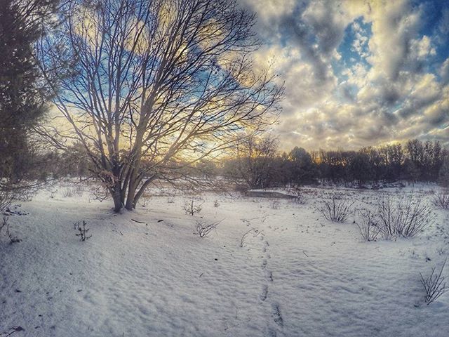 SNOW COVERED LANDSCAPE AGAINST CLOUDY SKY