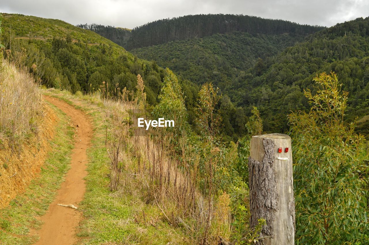 Scenic view of landscape