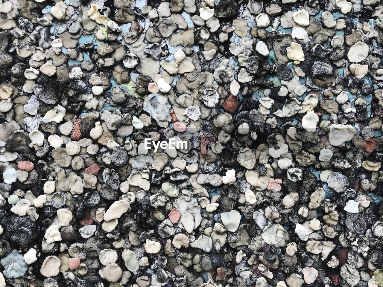 Full frame shot of chewing gum on wall