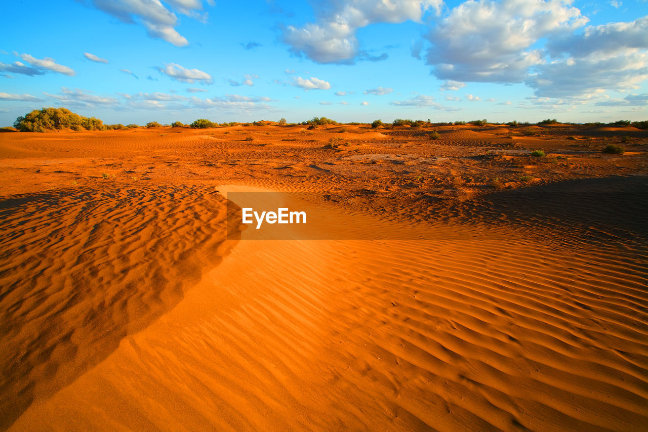 Scenic view of landscape against cloudy sky