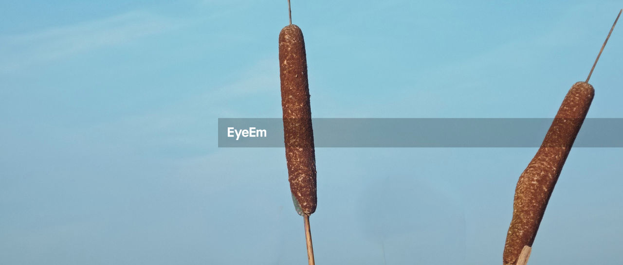 LOW ANGLE VIEW OF POLES AGAINST BLUE SKY