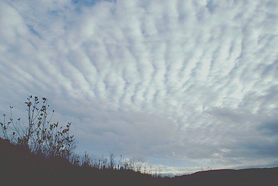 SCENIC VIEW OF CLOUDY SKY