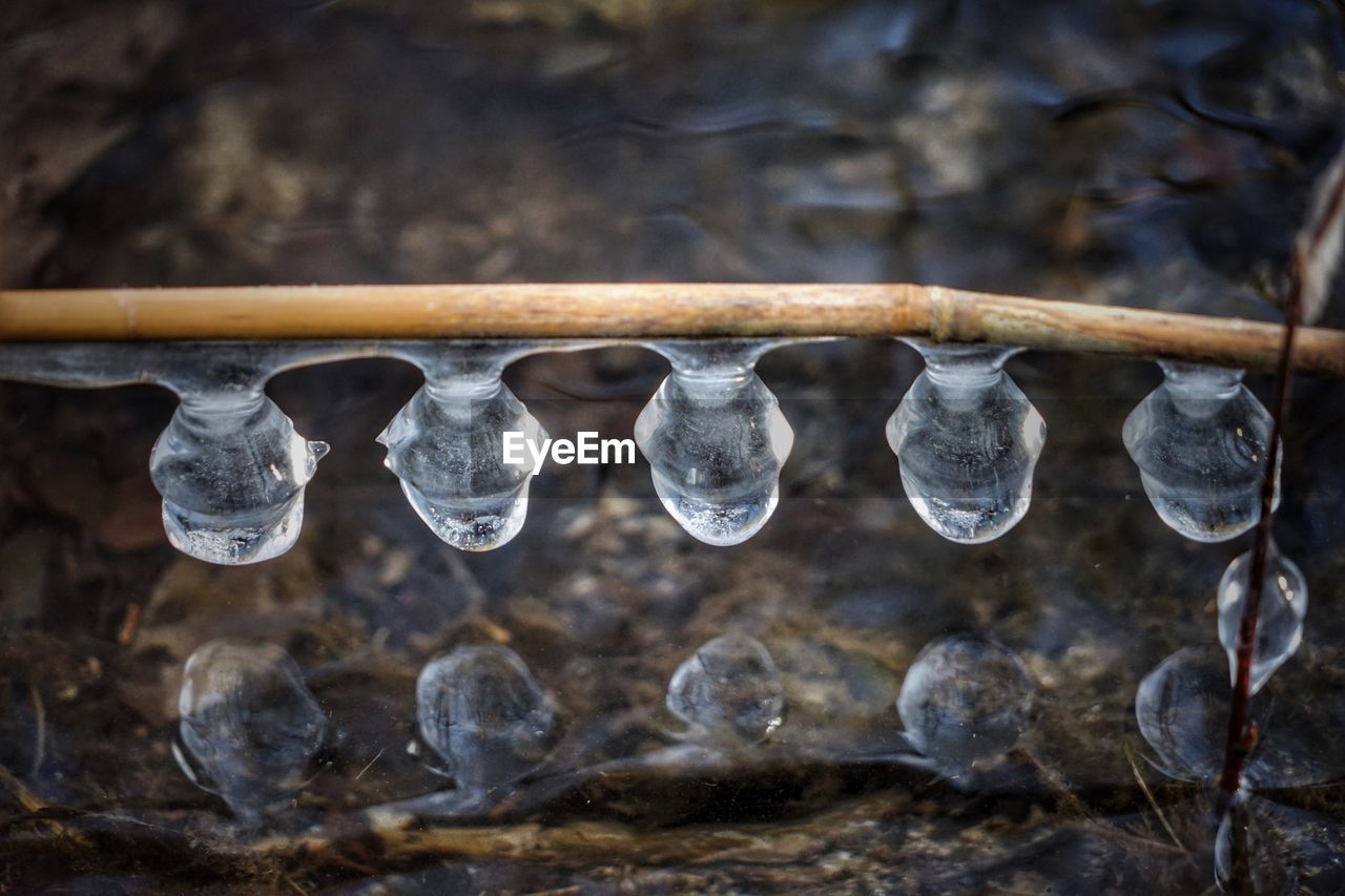 CLOSE-UP OF WATER HANGING ON ICE