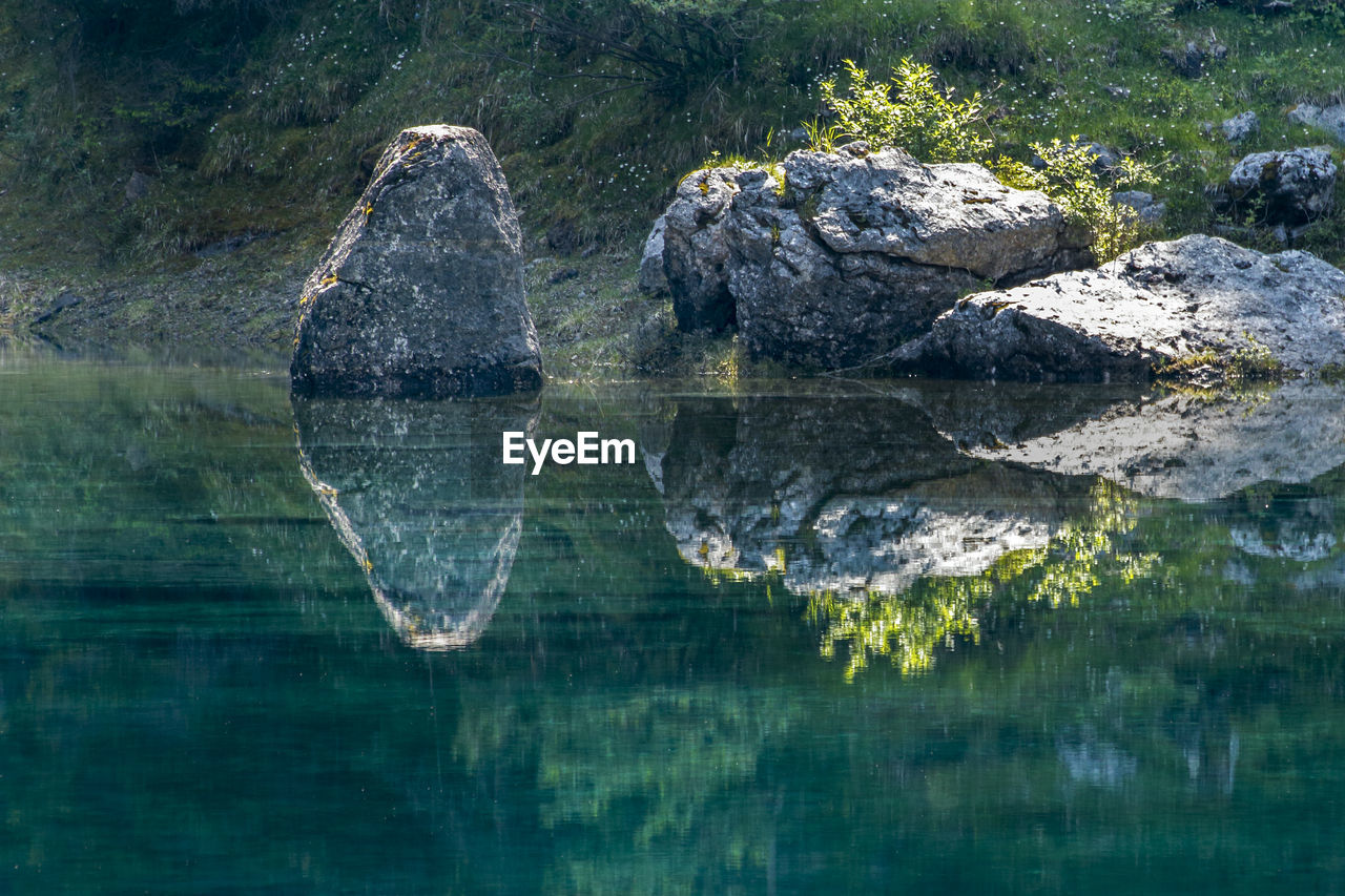 Reflection of trees in water