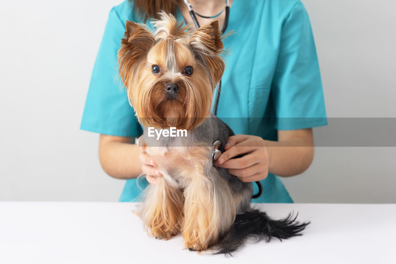 midsection of man with dog against white background