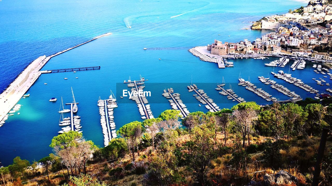 High angle view of trees by sea against blue sky