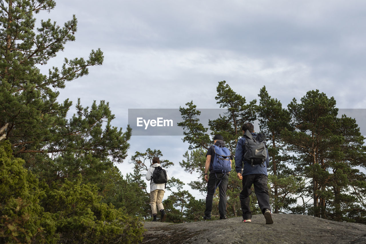 Rear view of people hiking