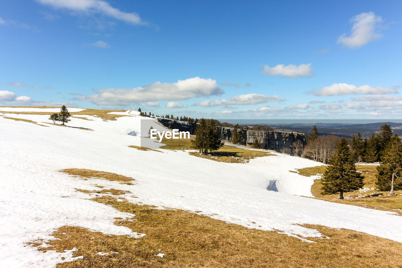 Remnants of snow in the swiss jura