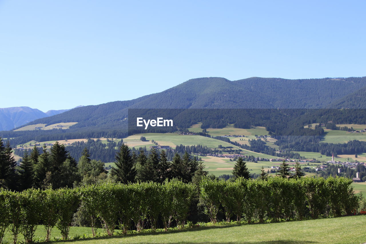 SCENIC VIEW OF LANDSCAPE AGAINST CLEAR SKY