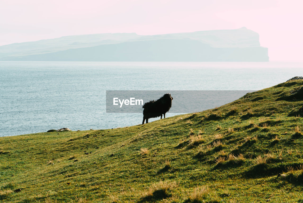 Hiking in faroe islands