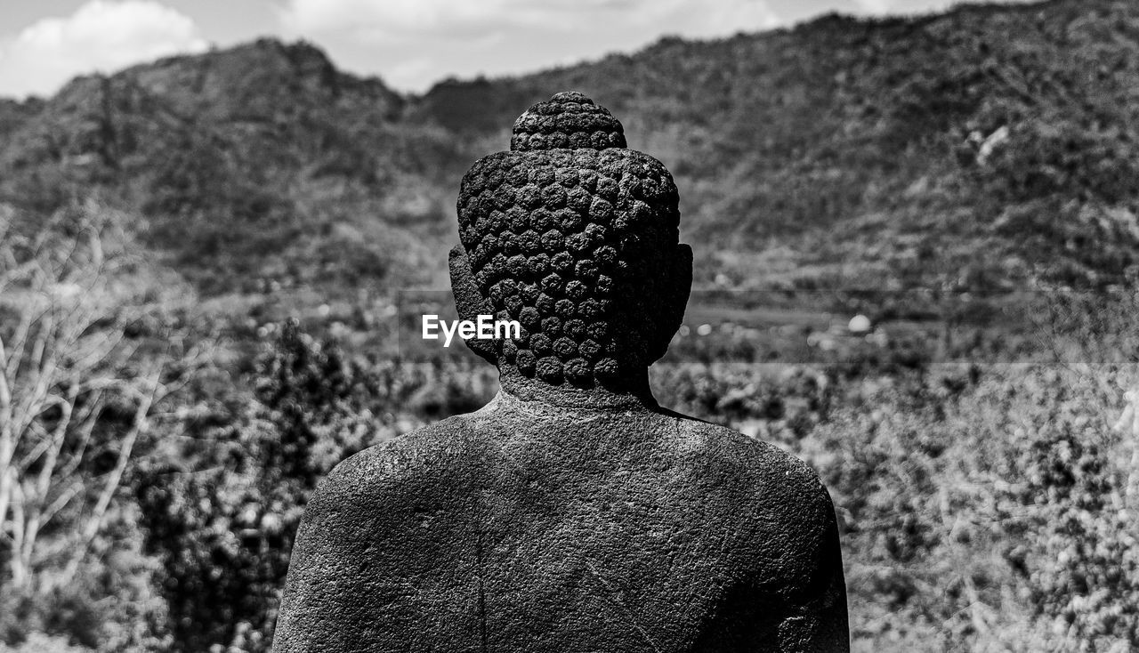 Rear view of a budhha statue