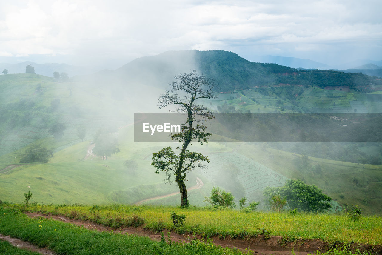 SCENIC VIEW OF LAND AGAINST SKY