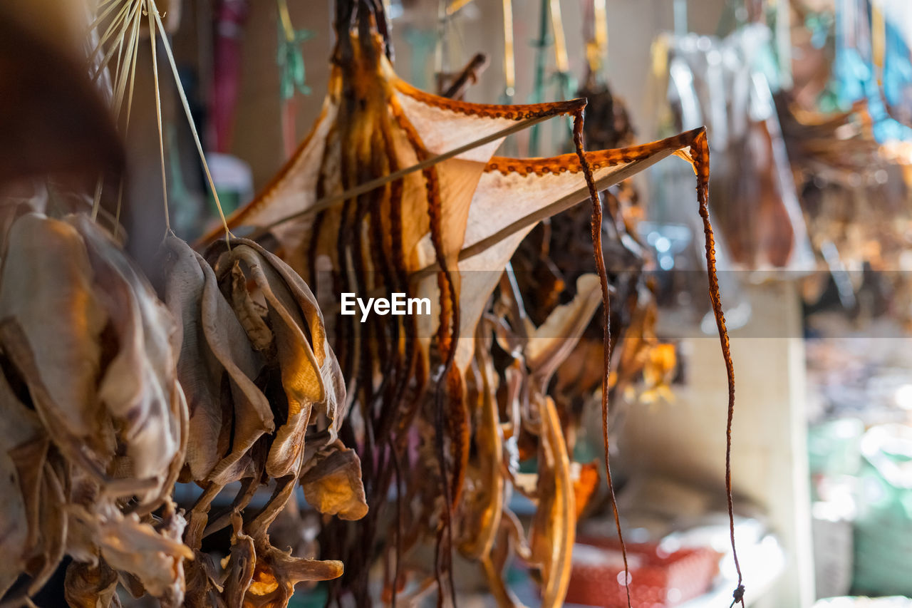 Dried fish tied into several bundles for sale, hanging from above, in a local market in sabah.