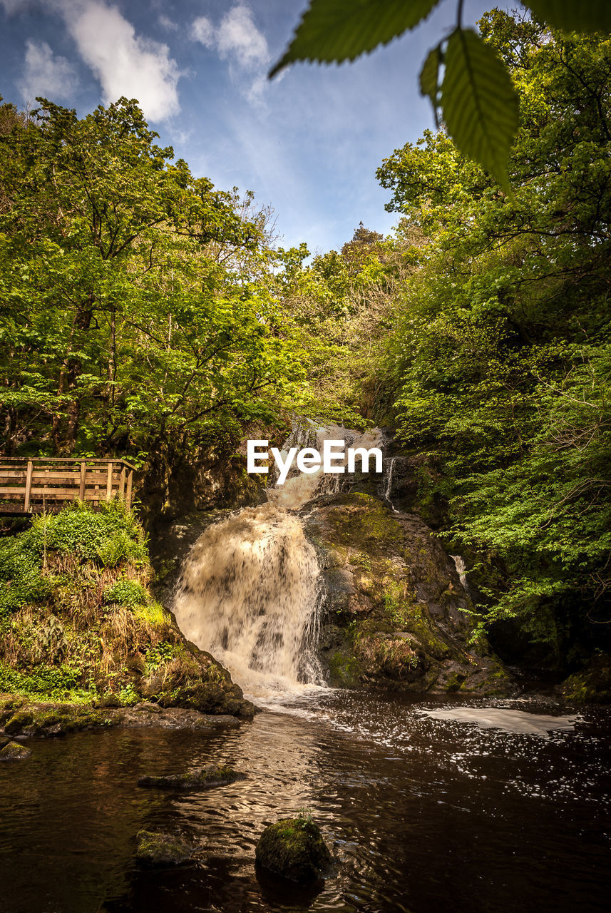 WATERFALL IN FOREST