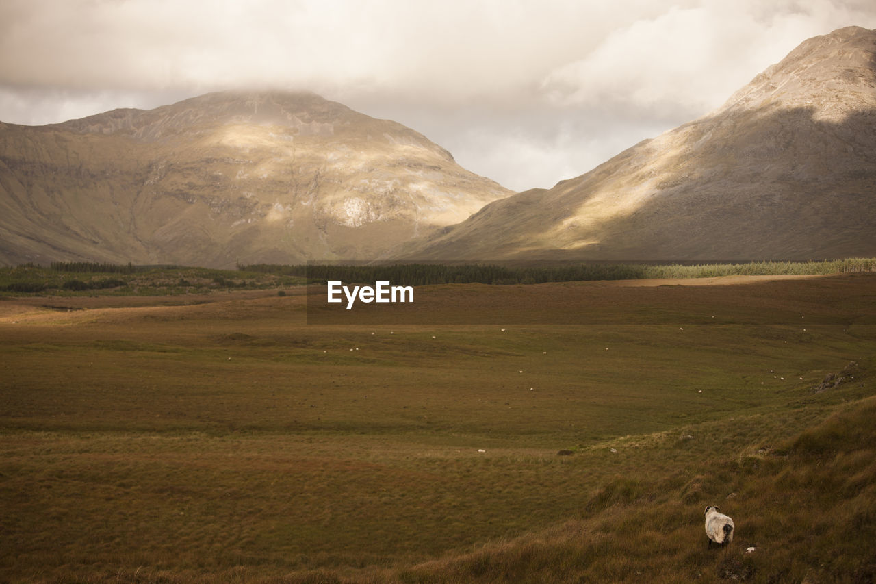 Scenic view of connemara mountains against sky