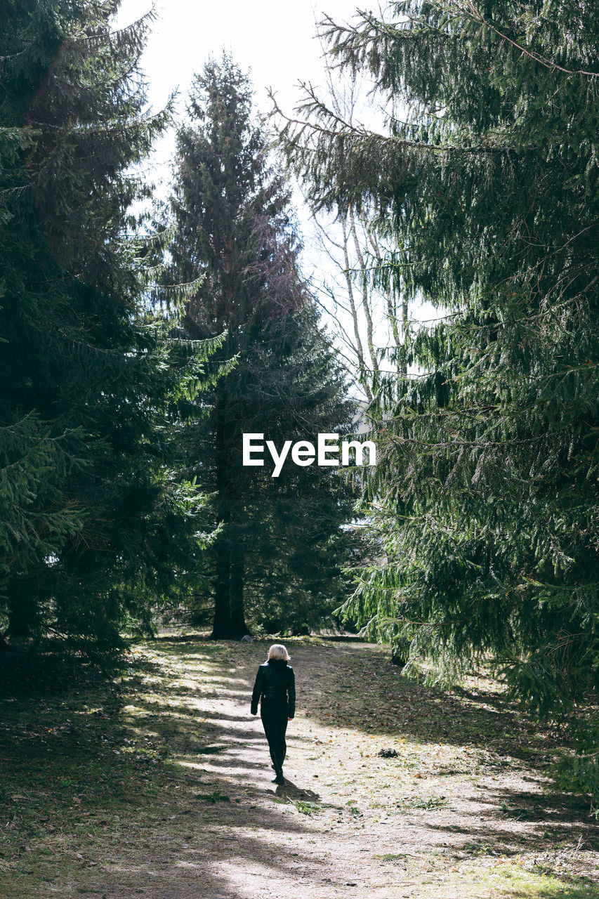 Rear view of woman walking in forest