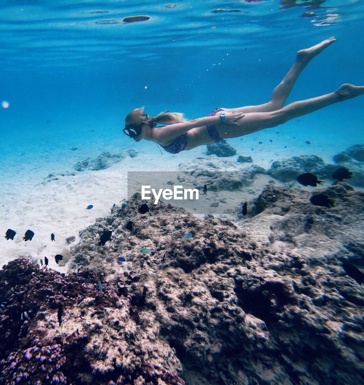 Full length of woman swimming in sea