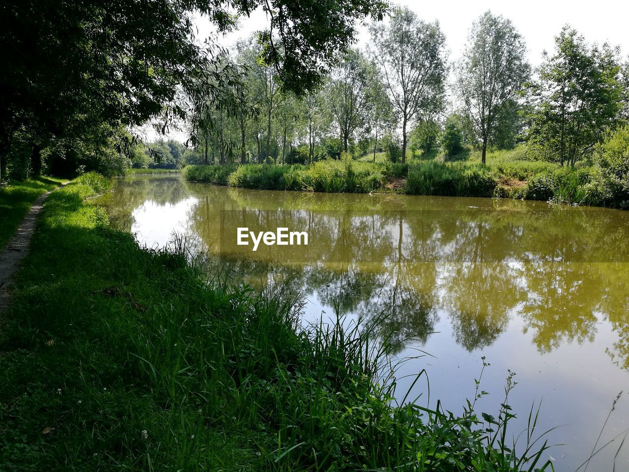 LAKE IN FOREST