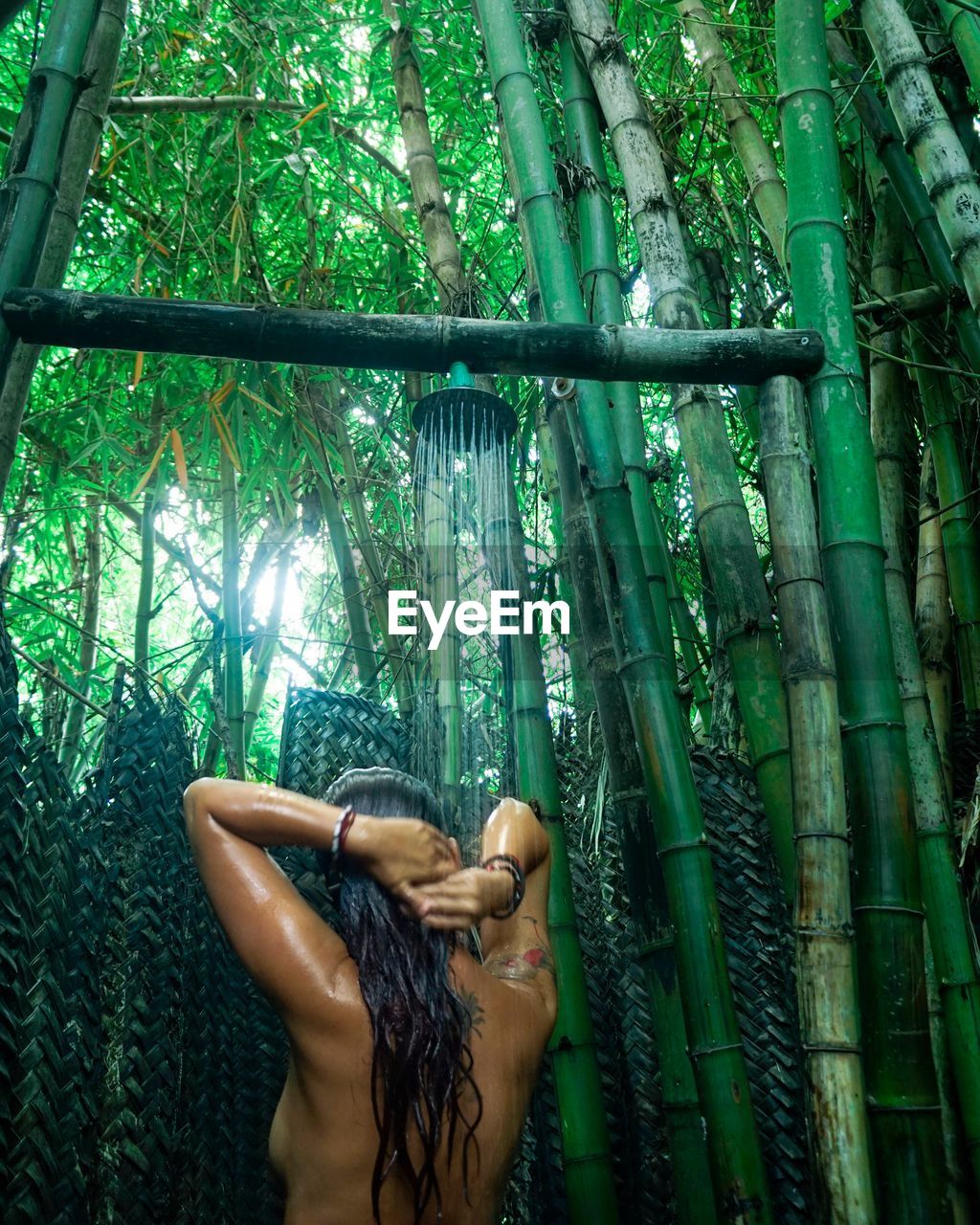 Rear view of shirtless woman taking showing amidst bamboo