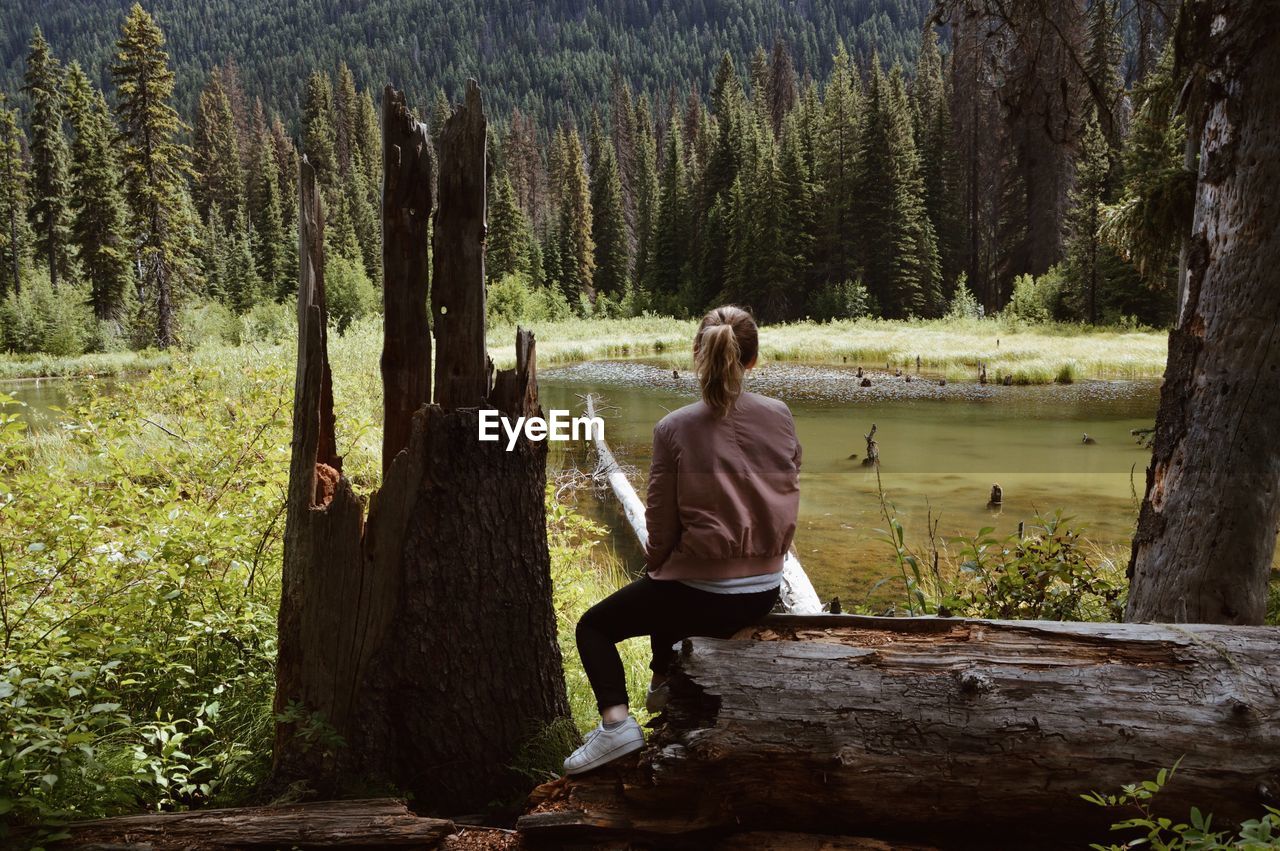 REAR VIEW OF WOMAN STANDING ON TREE IN FOREST