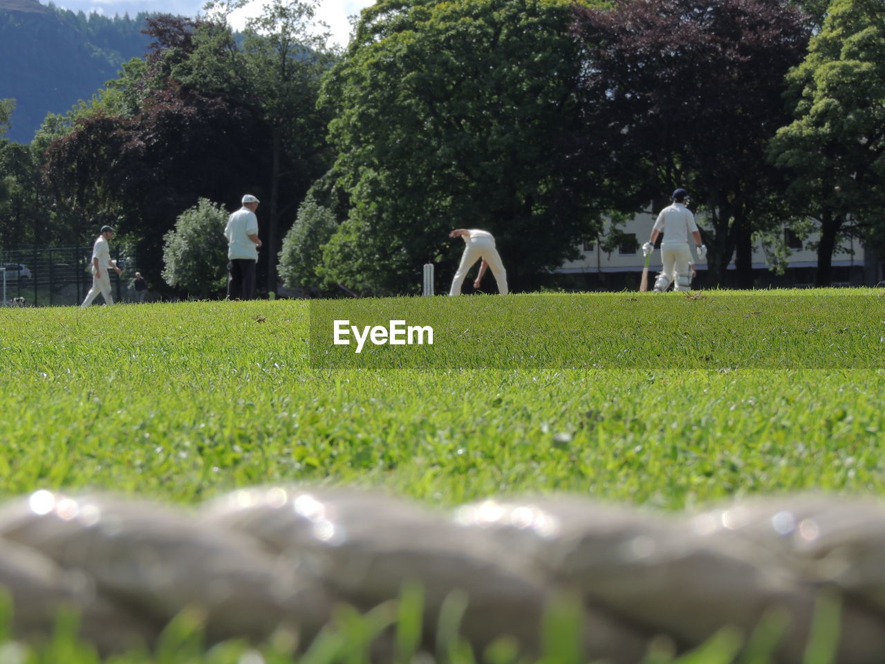 PEOPLE ON FIELD AGAINST TREES