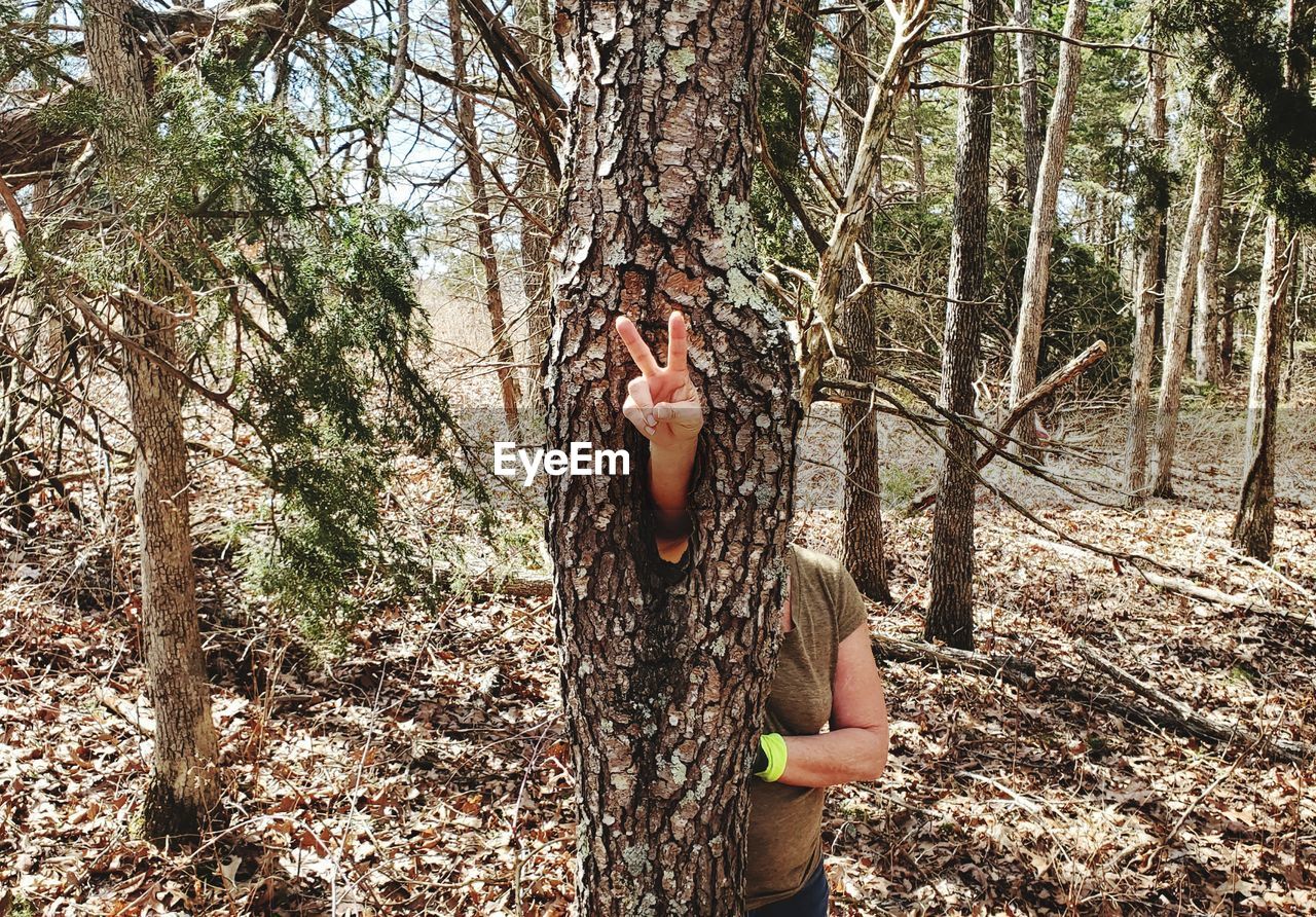 Woman by tree trunk in forest