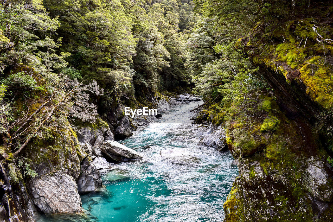 SCENIC VIEW OF WATERFALL IN FOREST