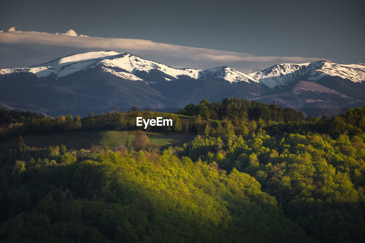 Landscape with the beauty of spring season in the mountain area.