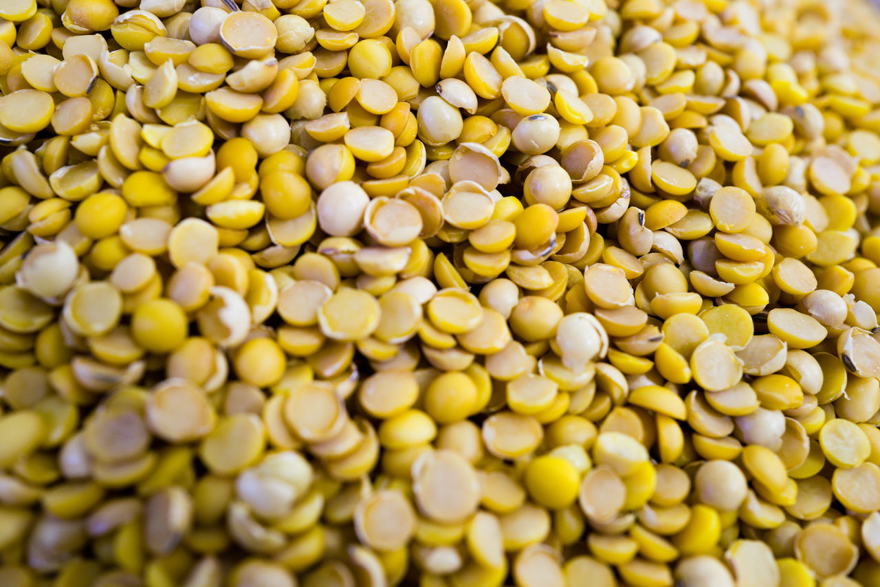 crop, agriculture, food and drink, food, corn kernels, plant, freshness, large group of objects, abundance, produce, backgrounds, healthy eating, full frame, close-up, no people, wellbeing, seed, yellow, vegetable, raw food, nature, corn, selective focus, pollen, still life, cereal plant