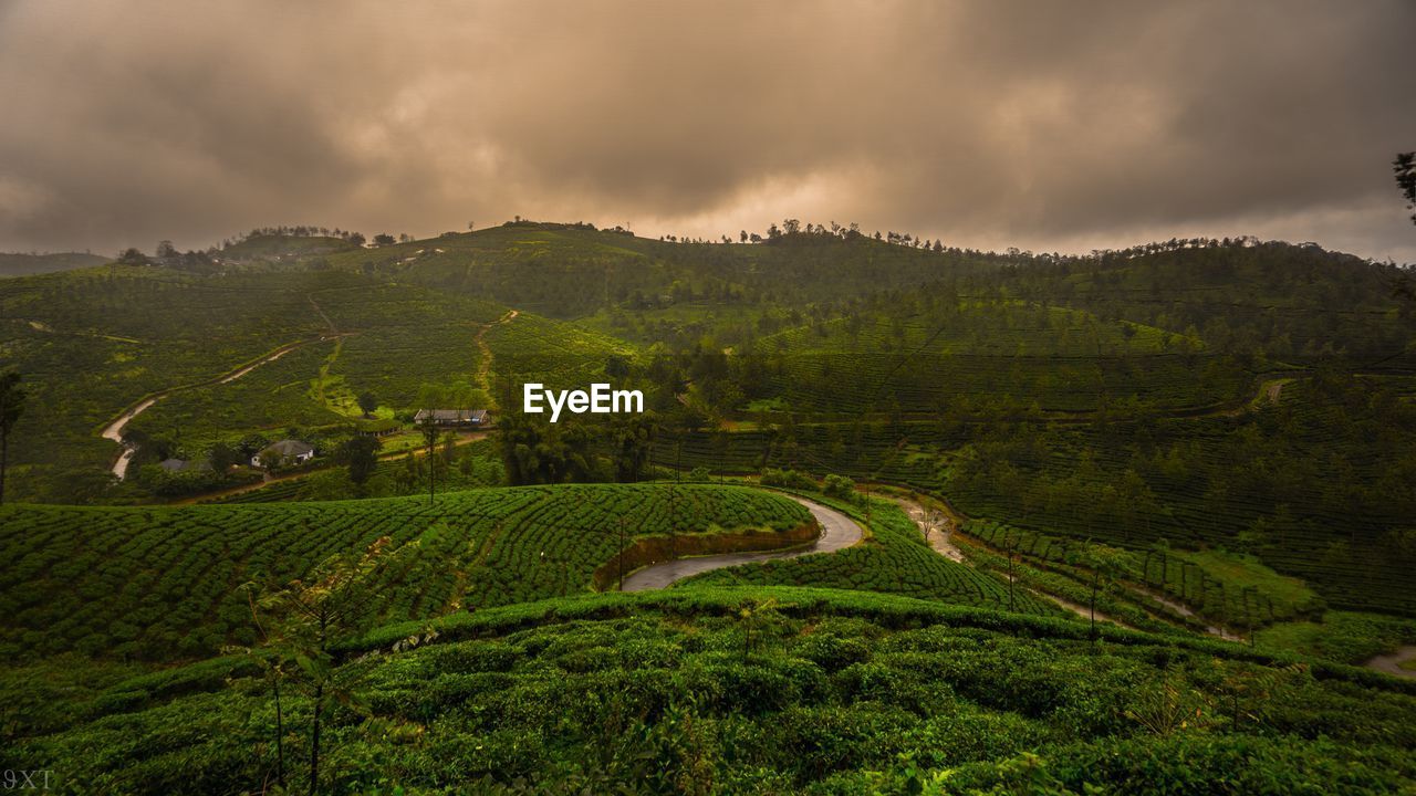 SCENIC VIEW OF FARMS AGAINST SKY