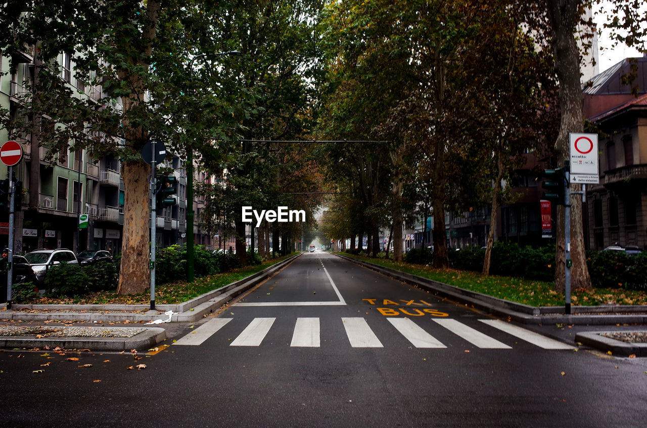 ROAD AMIDST TREES