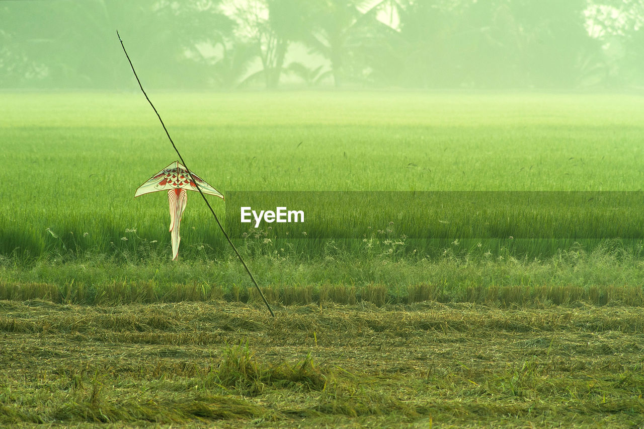 WIND TURBINE ON FIELD