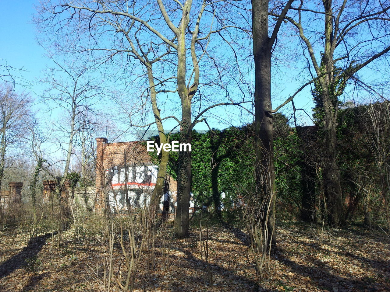 BUILT STRUCTURE WITH TREES IN BACKGROUND