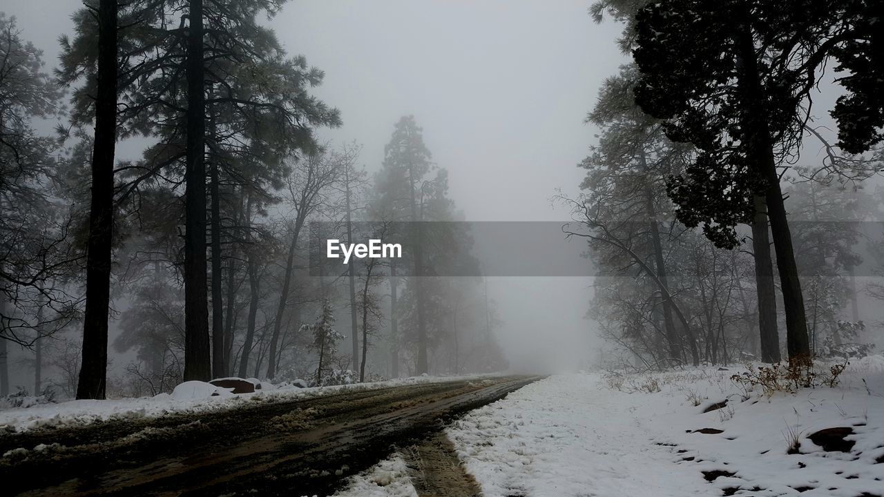 Snow and fog on a winding road 