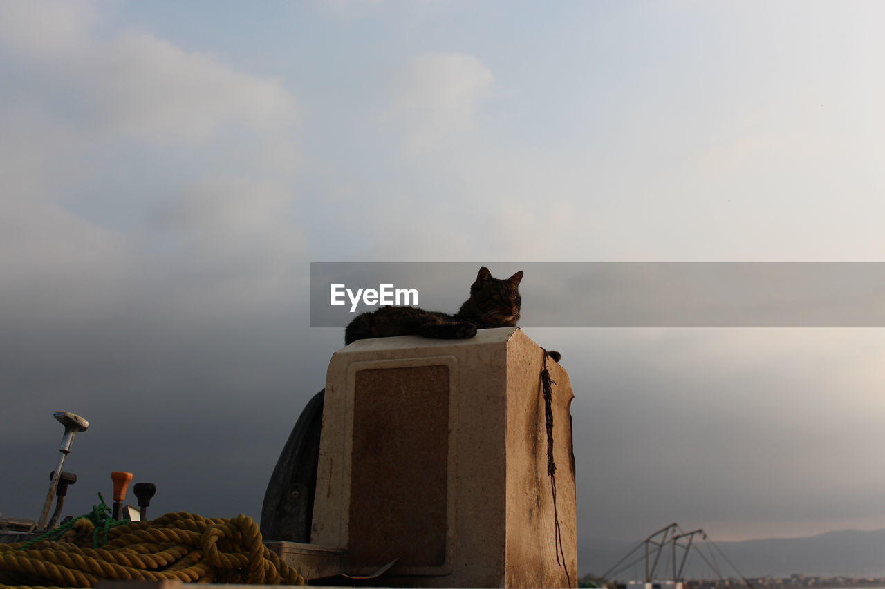 LOW ANGLE VIEW OF STATUE ON LANDSCAPE AGAINST SKY