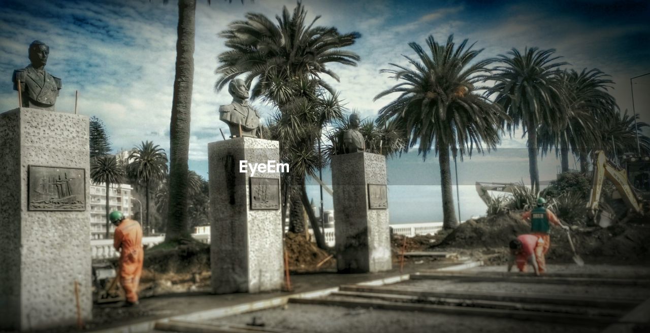 PALM TREES AGAINST SKY