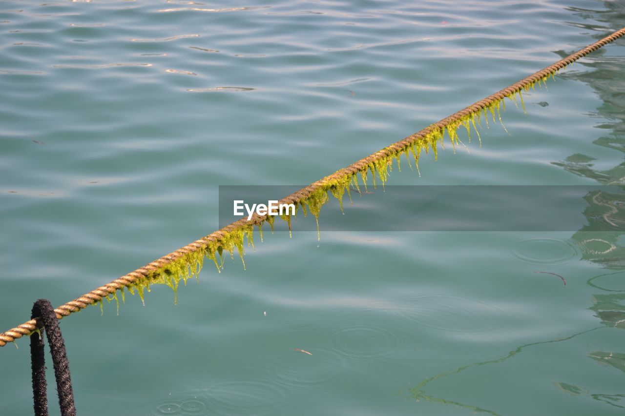 HIGH ANGLE VIEW OF ROPE ON WATER