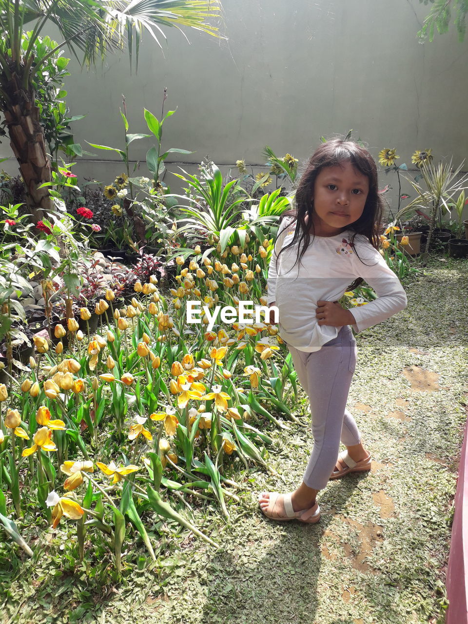 Full length portrait of girl standing by plants