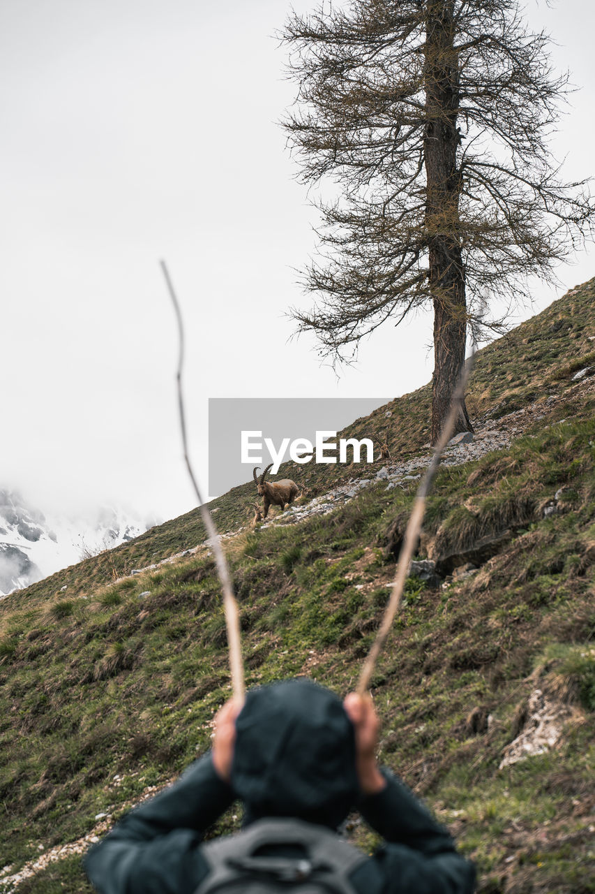 Man looking at deer on mountain against sky