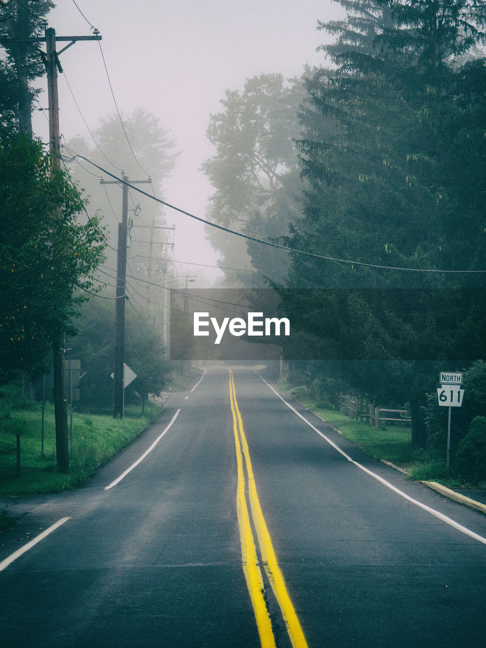 Empty road amidst trees