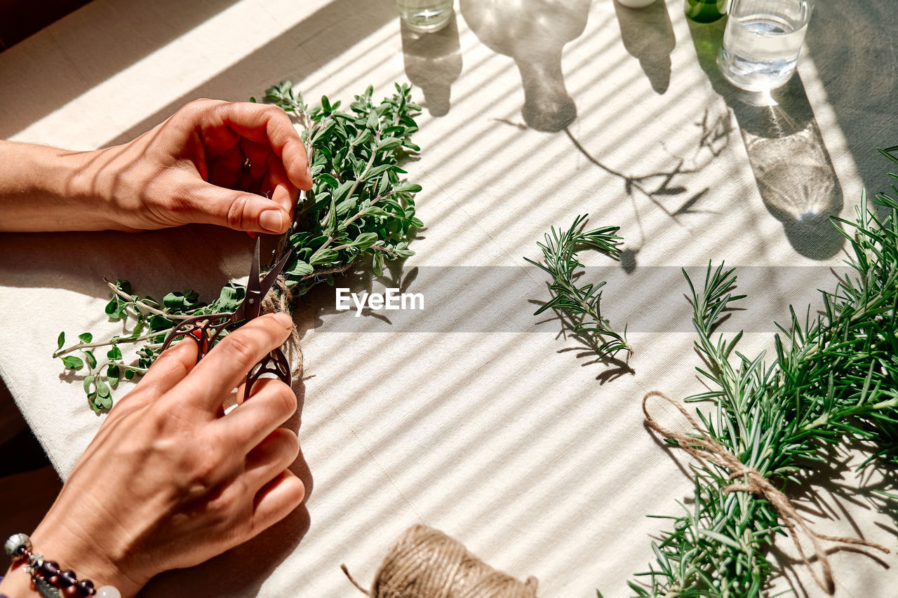 Alternative medicine. women's hands tie a bunch of marjoram.