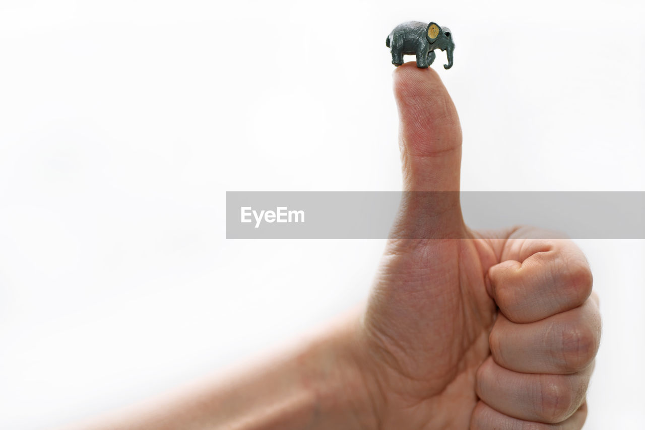 Close-up of hand with toy elephant on thumb