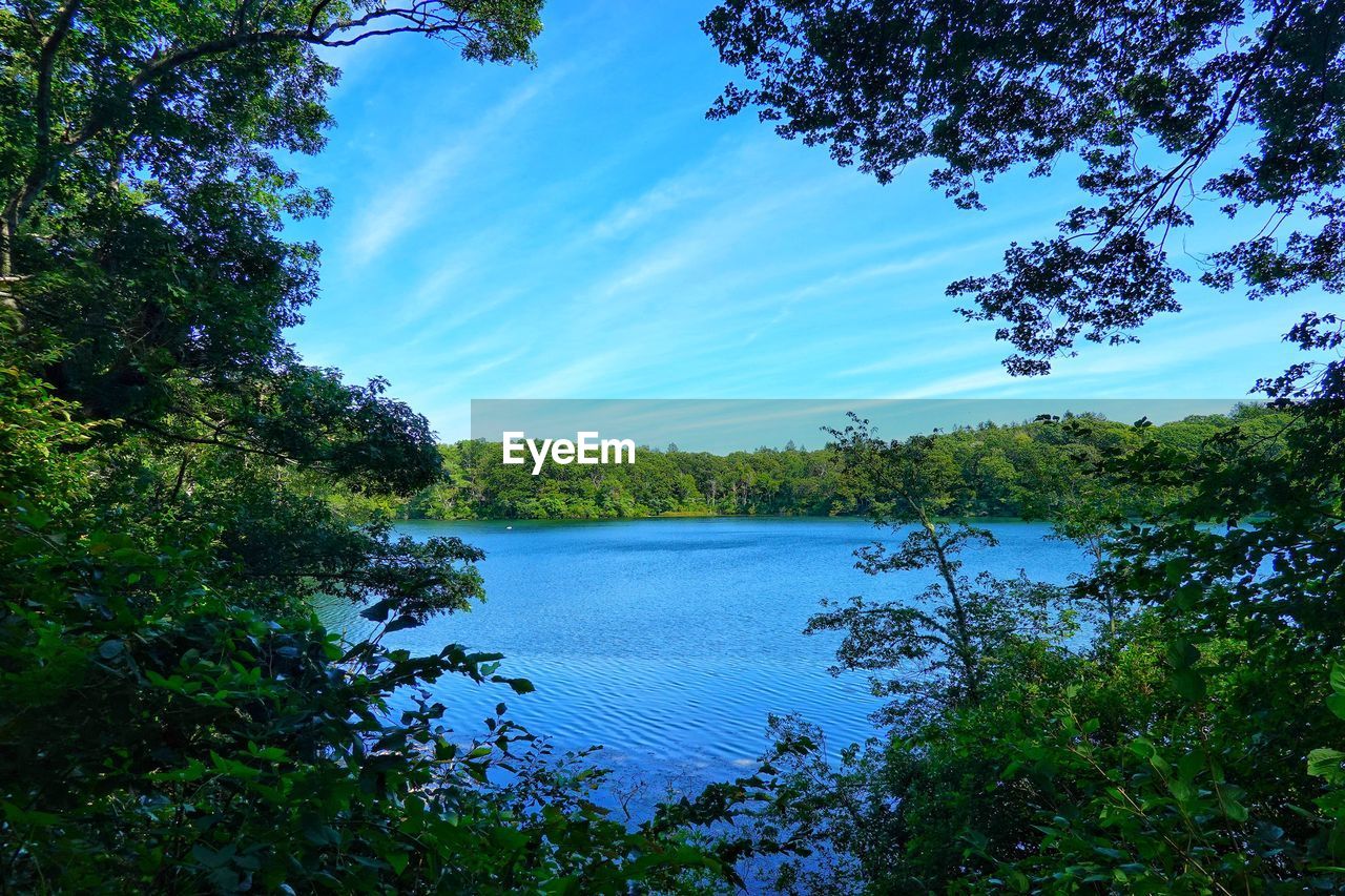 SCENIC VIEW OF LAKE AGAINST TREES