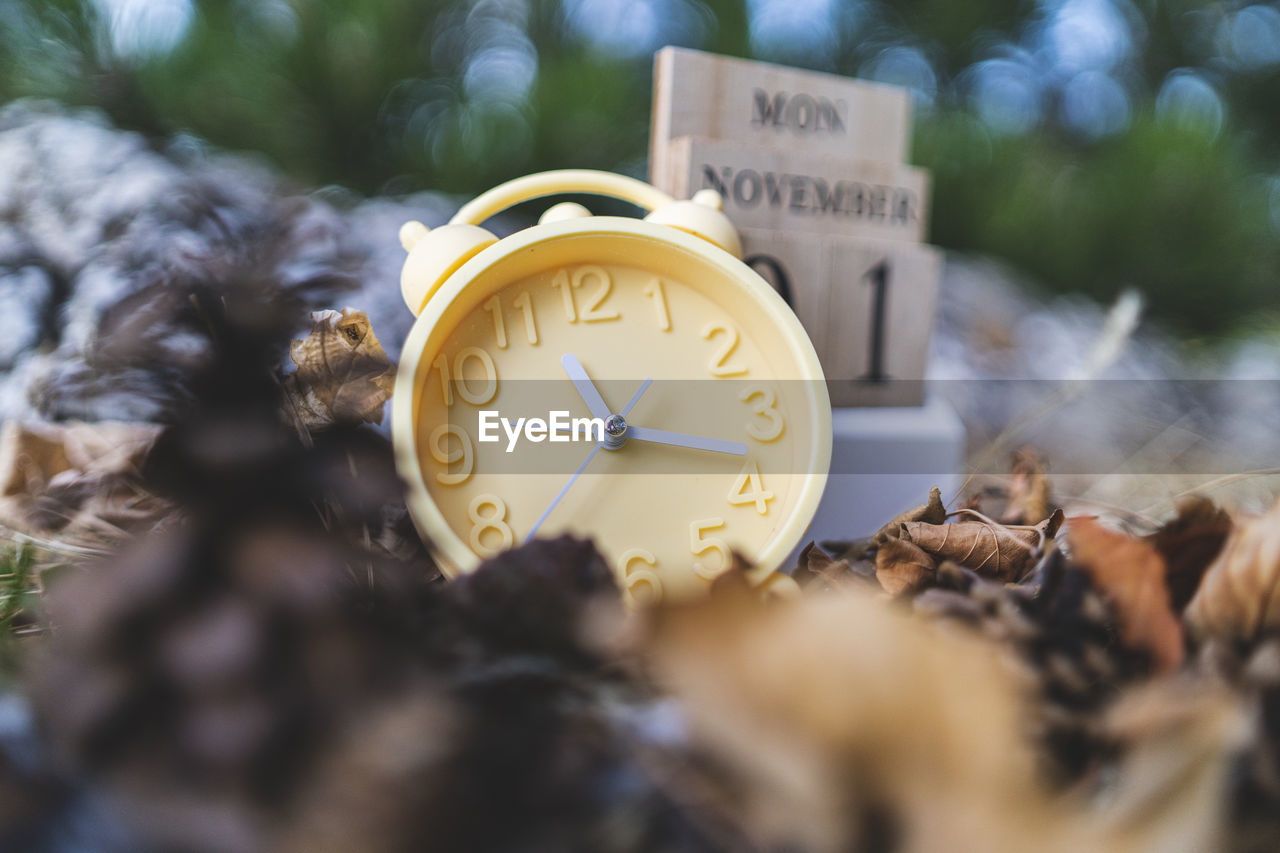 CLOSE-UP OF CLOCK ON PLANT