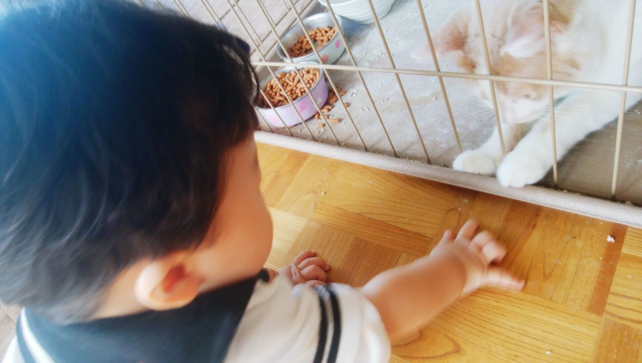 Boy looking at cat in cage